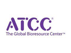 Acinetobacter baumannii ATCC 19606,Acinetobacter baumannii ATCC 19606