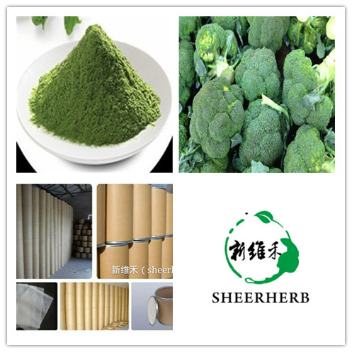 西安新维禾工厂价现货有机植物提取西兰花粉,Broccoli Powder