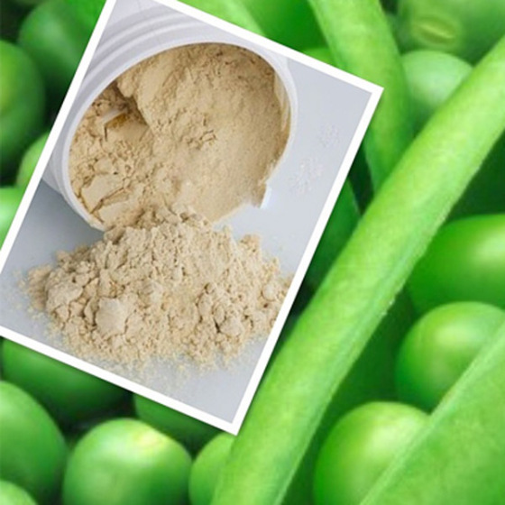 西安新维禾工厂价现货有机植物提取豌豆蛋白,Pea protein