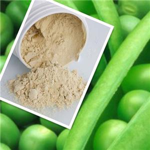 西安新维禾工厂价现货有机植物提取豌豆蛋白