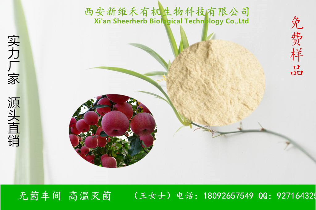 西安新维禾工厂价现货有机植物提取苹果汁粉,Apple Juice Powder