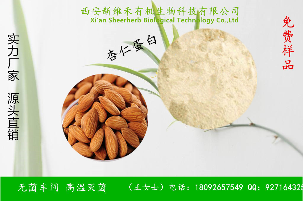 西安新维禾植物提取物工厂价现货杏仁蛋白,Almond Protein