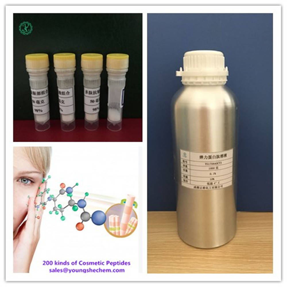 生物素三肽-1/生發(fā)肽 Biotinoyl -GHK,Biotinoyl Tripeptide-1/Procapil