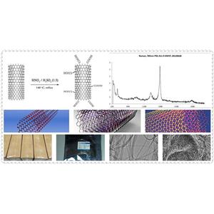 纳米碳管（单壁，多壁，长管，短管，功能化）