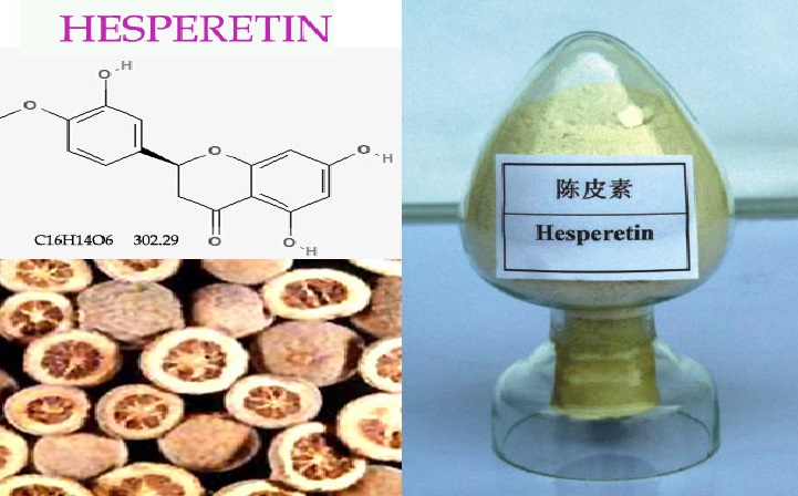 橙皮素,Hesperetin