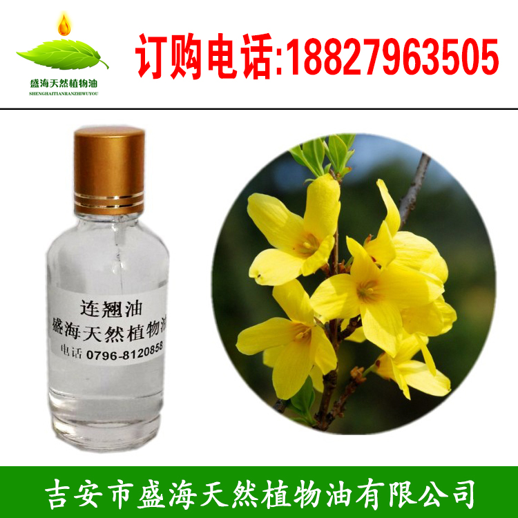 连翘油 连翘精油 中草药油,Forsythia oil forsythia essential oil Chinese herbal oil
