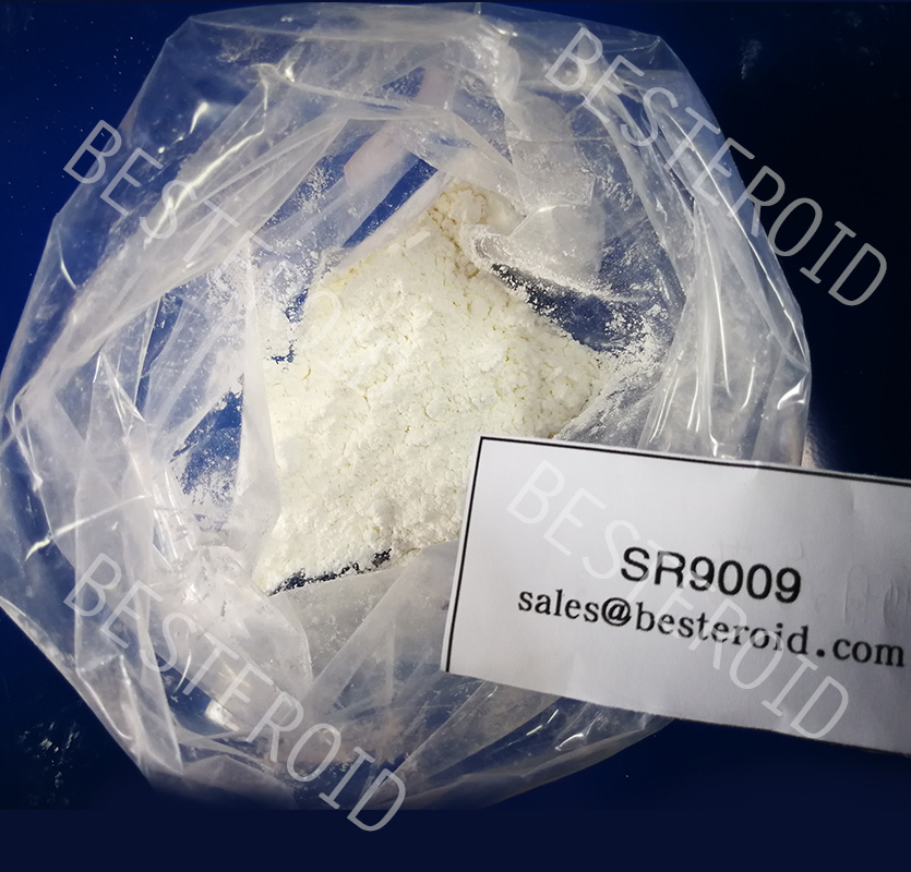 Raw Powder Sarms SR9009 CAS: 1379686-30-2 for Endurance Improving,SR9009