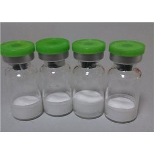 Anti-Aging Peptide Epitalon 10mg/Vial CAS: 307297-39-8