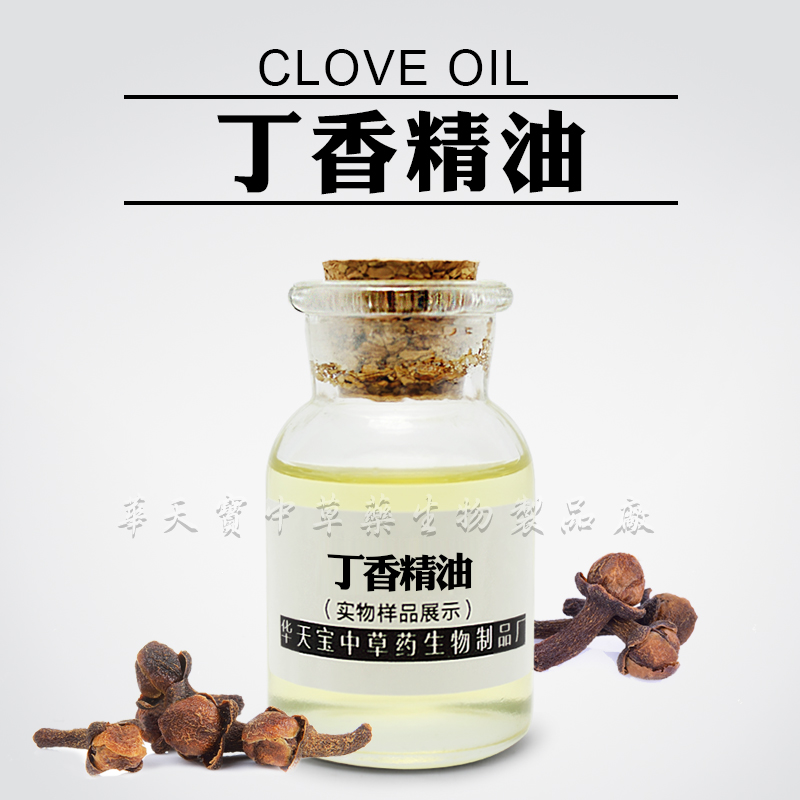 丁香精油,Clove Oil