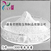 食品级透明质酸钠CAS：9004-61-9,Hyaluronic Acid