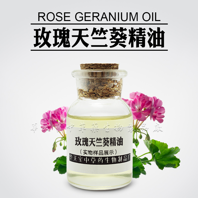 玫瑰天竺葵精油,Rose Geranium Oil