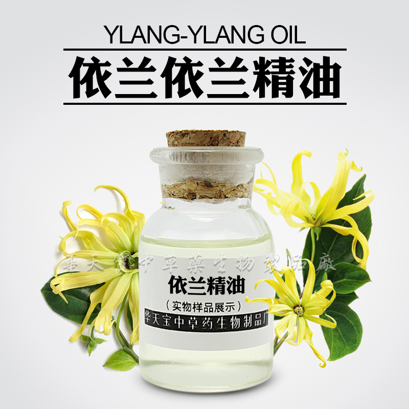 依兰精油,Ylang Ylang Oil