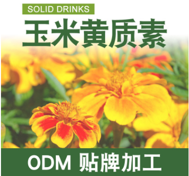 玉米黃質(zhì)素|oem貼牌代工