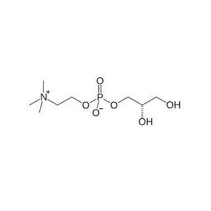 甘油磷脂酰胆碱