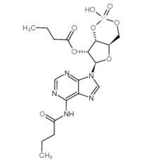二丁酰环磷腺苷,Bucladesine