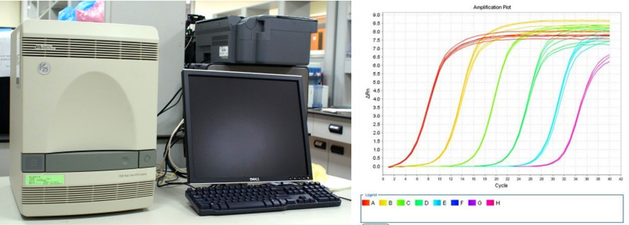 rtpcr荧光定量实验服务