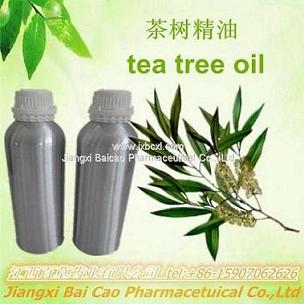 茶树油,tea tree oil