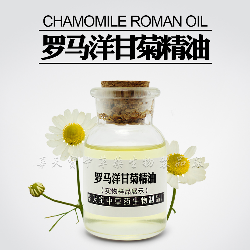 羅馬洋甘菊精油,Chamomile Roman Oil