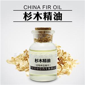杉木精油,China fir Oil