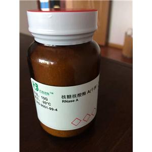 核糖核酸酶 A（≥50u/mg-80u/mg）