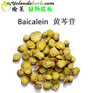 黄芩提取物,scutellaria baicalensis extract