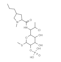 克林霉素磷酸酯,Clindamycin Phosphate