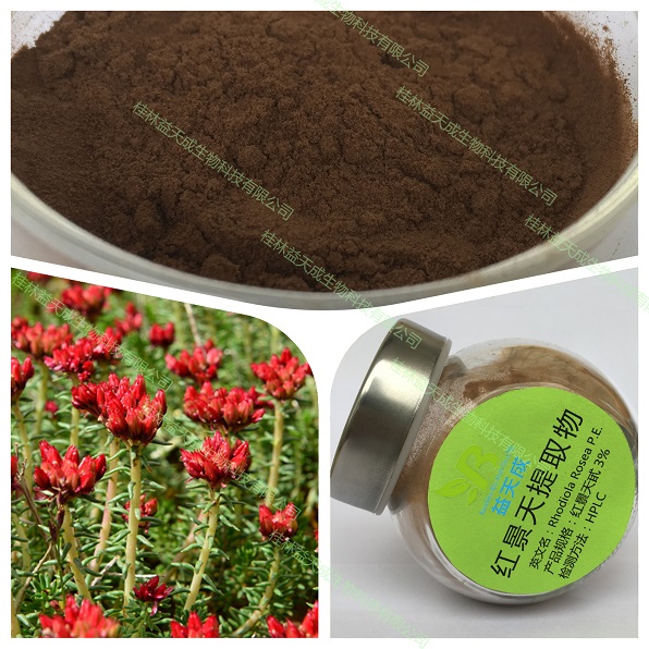 红景天苷,Rhodiola Rosca Extract