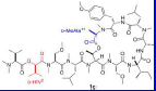 Coibamide A,Coibamide A