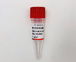 熱敏UDG酶,Heat-labile Uracil-DNA Glycosylase