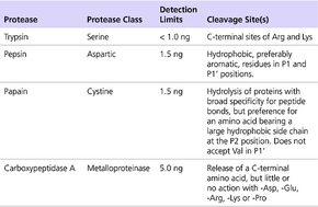 蛋白酶活性分析试剂,Protease Assay Kit