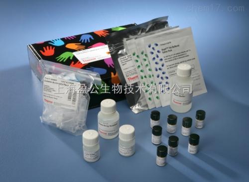 磷酸酶活性分析试剂,Phosphatase Assay kit