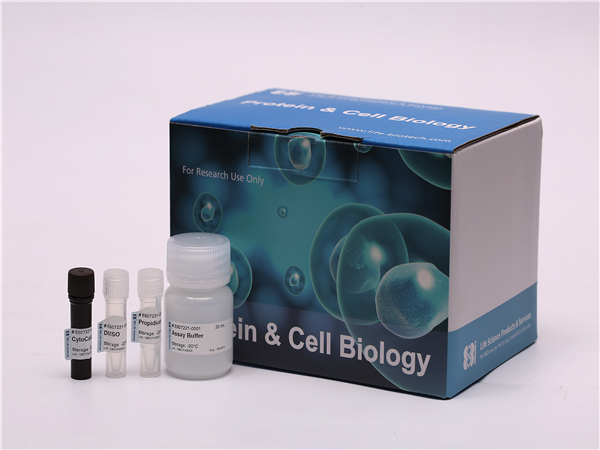 細胞活性檢測試劑盒，綠紅色雙熒光,Cell Viability Assay Kit*Green/Red Dual Fluorescence