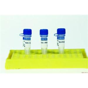 IgG抗体纯化树脂,Pearl(TM) IgG Purification Resin