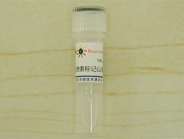 山羊抗兔IGG(H&L)二抗,BIOTIN标记,ANTI-RABBIT IGG (H AND L), BIOTIN