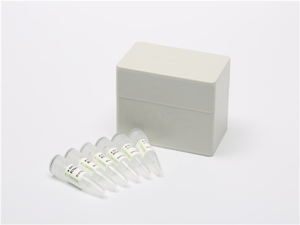 荧光定量法蛋白酶活性分析试剂盒,Fluoro(TM) Protease Assay Kit