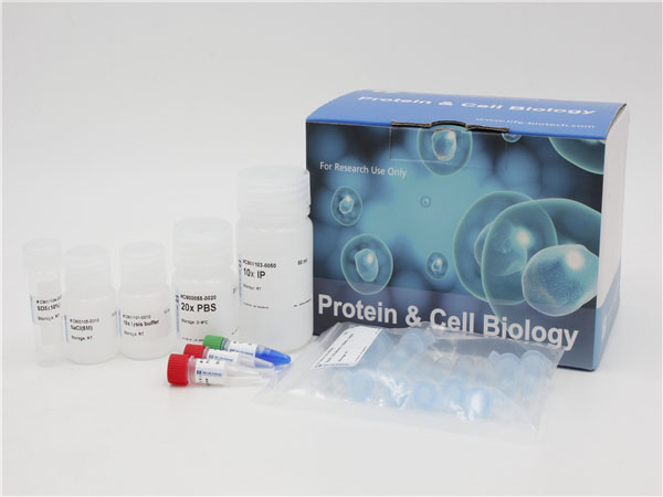 免疫共沉淀试剂盒，Protein A/G 琼脂糖,Immunoprecipitation Kit,Protein A/G Plus Agarose