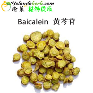 黄芩甙,Skullcap Root Extract