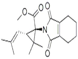 右旋胺菊酯,D-TETRAMETHRIN