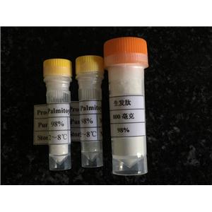 生物素三肽-1/生发肽299157-54-3