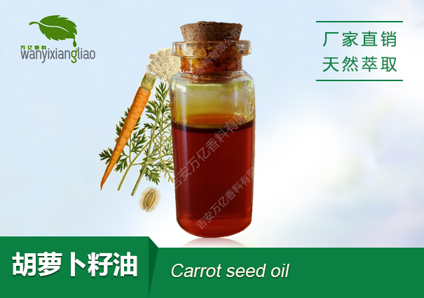 胡萝卜籽油,Carrot seedoil