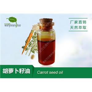 胡萝卜籽油,Carrot seedoil