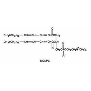二（2,4-十八二烯酰）磷脂酰胆碱