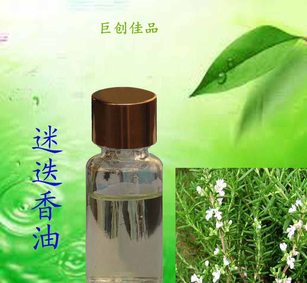 迷迭香油,Rosemary oil