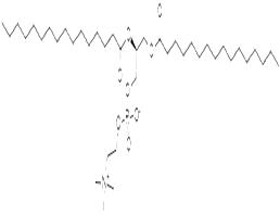 2,3-DIHEXADECANOYL-SN-GLYCERO-1-PHOSPHOCHOLINE