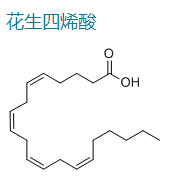 花生四烯酸/二十碳四烯酸,Arachidonic acid