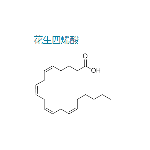花生四烯酸/二十碳四烯酸,Arachidonic acid