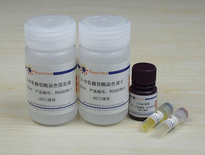 β-半乳糖苷酶原位染色试剂盒,β-半乳糖苷酶原位染色试剂盒
