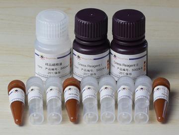 总一氧化氮检测试剂盒,总一氧化氮检测试剂盒