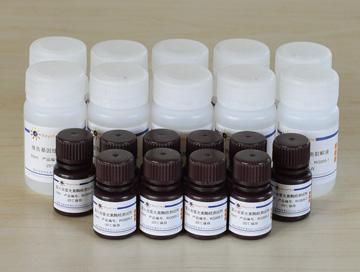 萤火虫萤光素酶报告基因检测试剂盒,萤火虫萤光素酶报告基因检测试剂盒