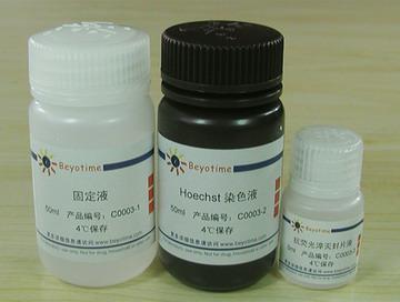 细胞凋亡－Hoechst染色试剂盒,细胞凋亡－Hoechst染色试剂盒